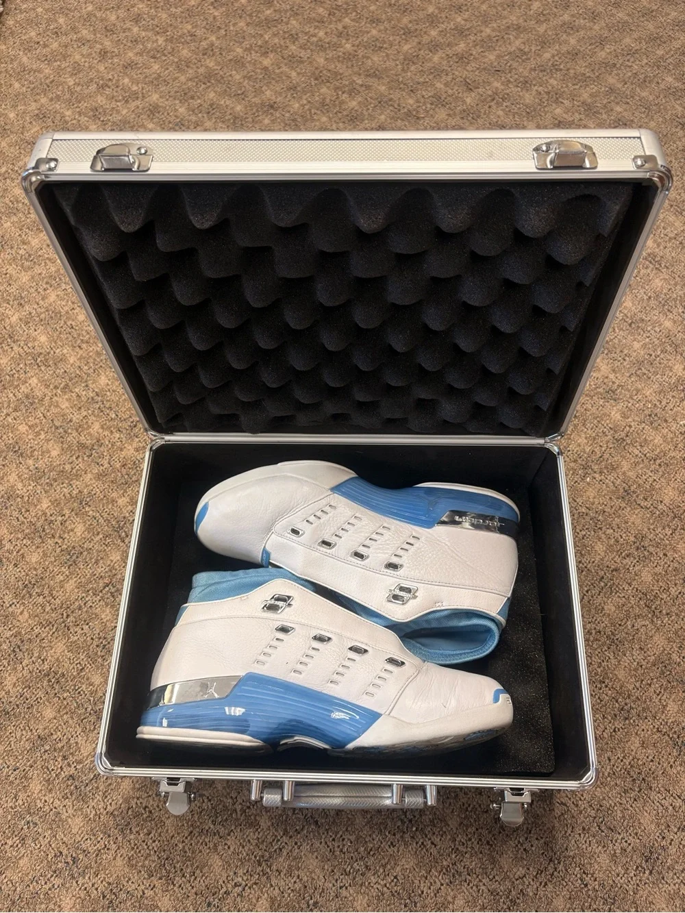 2002 Jordan 17 Low UNC with “Jordan” case and original laces (clean)